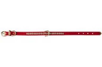 Pet Supply Imports Beverly Vinyl Pet Collar Red 3 8x10in