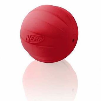Nerf Dog Squeaker Ball
