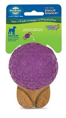 PetSafe Busy Buddy Biscuit Bouncer Dog Toy