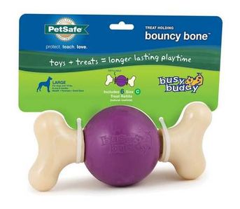 PetSafe Busy Buddy Bouncy Bone Dog Toy