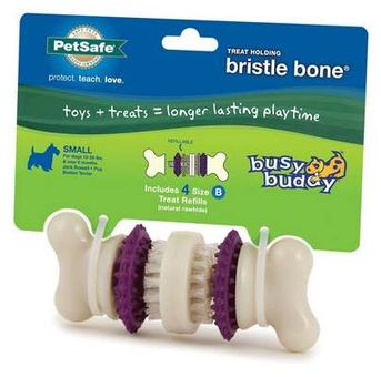 PetSafe Busy Buddy Bristle Bone Dog Toy