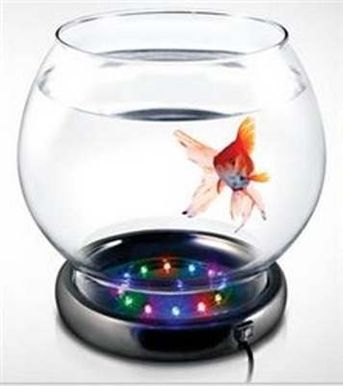 Wavepoint Fish Bowl w/LED Base Kit 1 gal