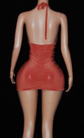 Shirred front and back mini 