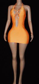 Veronica mini dress