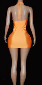 Veronica mini dress