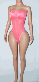 Mesh/lycra monokini w/chocker 