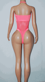 Mesh/lycra monokini w/chocker 