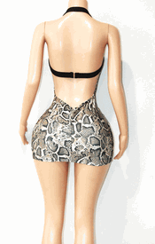 Snake print mini 