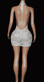 Plunge lace mini 