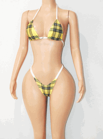 Plaid bikini set 