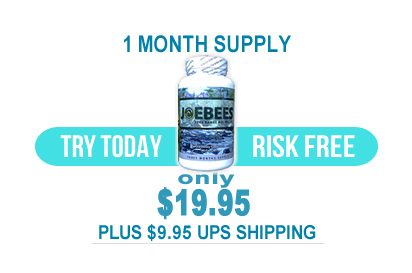 JOEBEES 1 Month Supply