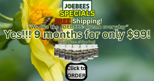 JOEBEES 9 Month Supply for $99 - FREE SHIPPING!