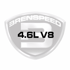 4.6L V8