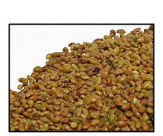 Organic ALFALFA SEED - 25 LBS - Out of Stock