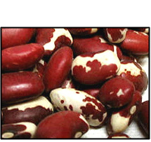 Organic ANASAZI BEANS - 25 LBS - OUT OF STOCK Organic ANASAZI BEANS - 25 LBS - OUT OF STOCK