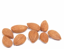 Organic APRICOT KERNELS (raw) - 5 LBS - Out of Stock