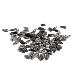Organic BLACK IN-SHELL SUNFLOWER SEEDS - 2 LBS - Out of Stock