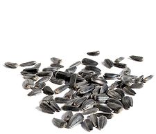 Organic BLACK IN-SHELL SUNFLOWER SEEDS - 5 LBS - Out of Stock