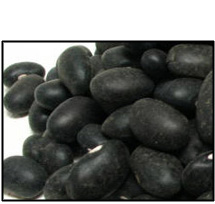 Organic BLACK TURTLE BEANS - 5 LBS