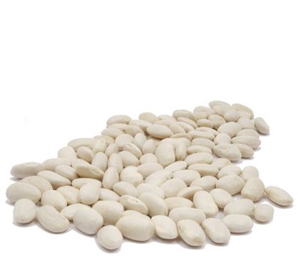 Organic CANNELLINI BEANS - 5 LBS