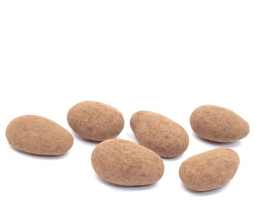 Organic CHOCOLATE COVERED ROASTED ALMONDS - 2 LBS - Out of Stock