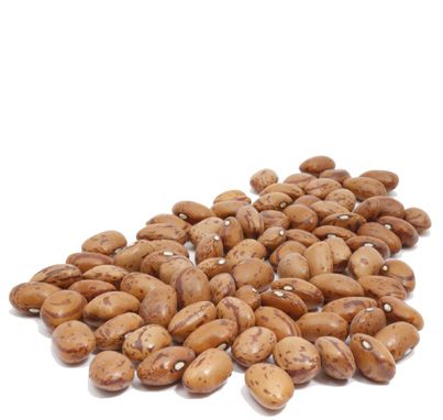 Organic CRANBERRY BEANS - 25 LBS