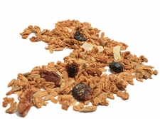 Organic CRANBERRY CASHEW PECAN GRANOLA - 5 LBS 