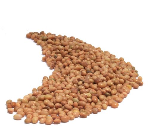 Organic CRIMSON CLOVER SEED - 25 LBS - Out of Stock