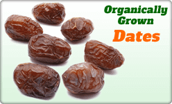 Shop Organically Grown Dates