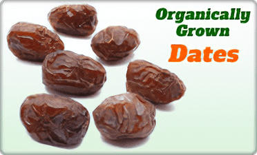 Shop Organically Grown Dates