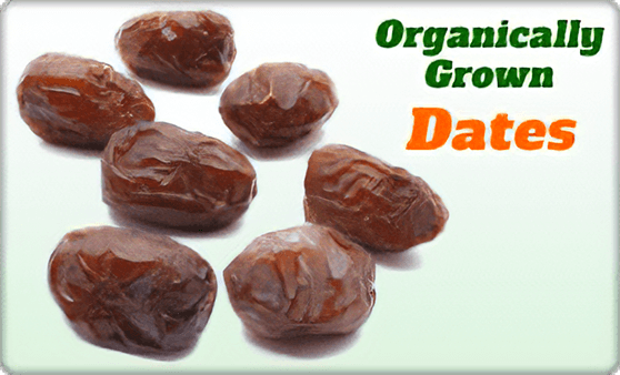 Shop Organically Grown Dates
