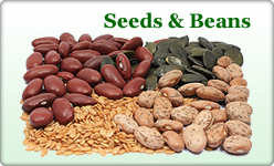 Shop Organically Grown Dates