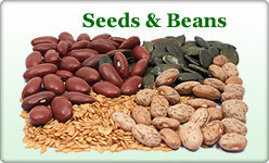 Shop Organically Grown Dates