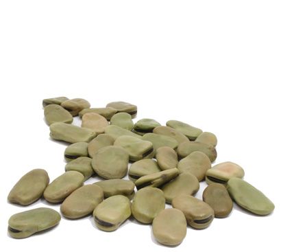 Organic FAVA BEANS - 25 LBS - Out of Stock