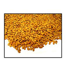 Organic FENUGREEK SEED - 2 LBS - Out of Stock