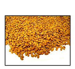 Organic FENUGREEK SEED - 25 LBS - Out of Stock