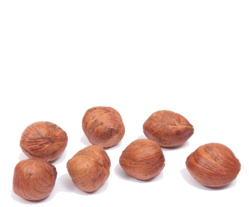 Organic  FILBERTS (Hazelnuts), Raw - 1 LB