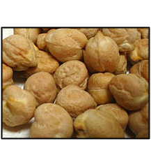 Organic GARBANZO BEANS - 25 LBS
