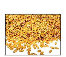 Organic GOLDEN FLAX SEED - 25 LBS