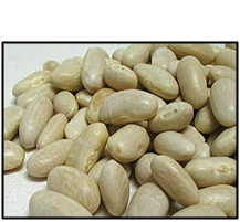 Organic GREAT NORTHERN BEANS - 2 LBS - Out of Stock