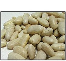 Organic GREAT NORTHERN BEANS - 5 LBS - Out of Stock