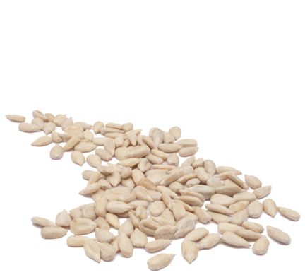 Organic HULLED SUNFLOWER SEEDS - 5 LBS