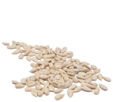 Organic HULLED SUNFLOWER SEEDS - 5 LBS
