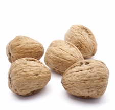 Organic INSHELL WALNUTS - 5 LBS - Out of Stock