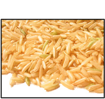 Organic LONG GRAIN BROWN RICE - 25 LBS