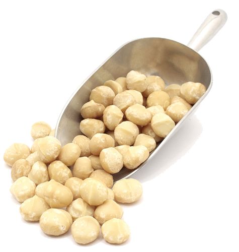 Organic  MACADAMIA NUT  HALVES (raw) - 5 LBS