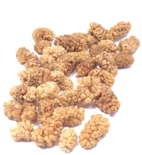 Organic MULBERRIES - 1 LB