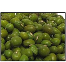 Organic MUNG BEANS - 25 LBS