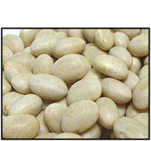 Organic NAVY BEANS - 2 LBS