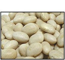 Organic NAVY BEANS - 25 LBS 